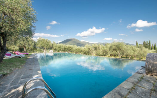 Villa storica in Vendita a Vecchiano
