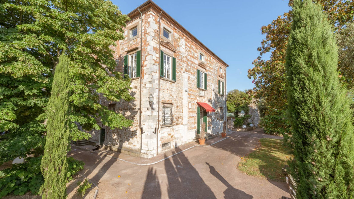 video image