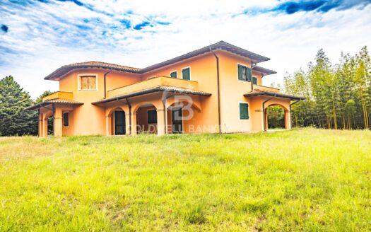 Villa in Vendita a Forte dei Marmi Vittoria Apuana