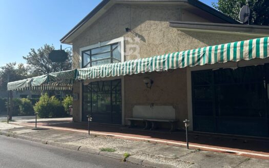 Ristorante in Vendita a Forte dei Marmi Vittoria Apuana