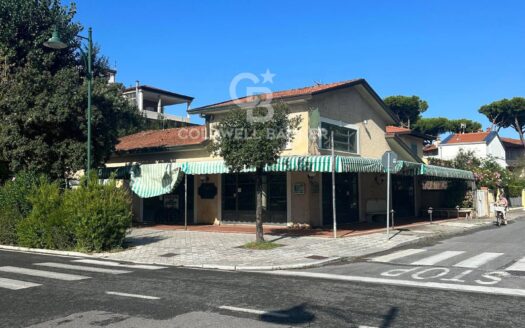 Ristorante in Vendita a Forte dei Marmi Vittoria Apuana