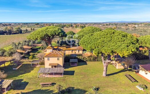 Azienda Agricola in Vendita a Castagneto Carducci Bolgheri