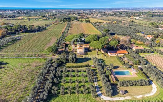Azienda Agricola in Vendita a Castagneto Carducci Bolgheri