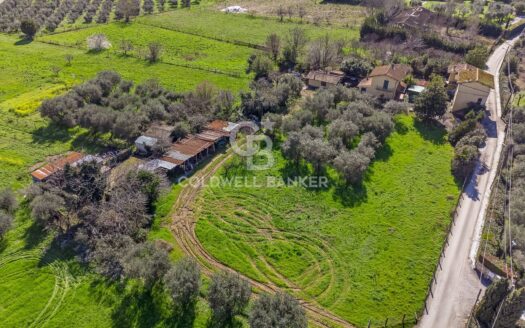 Villa in Vendita a Pietrasanta