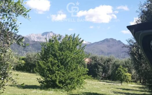 Terreno Edificabile in Vendita a Pietrasanta Vaiana