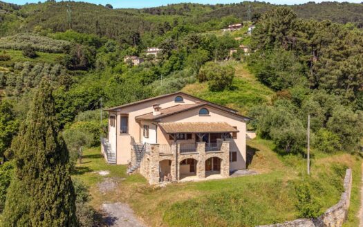 Villa in Vendita a Pietrasanta