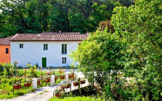 Villa in Vendita a Lucca San Lorenzo a Vaccoli