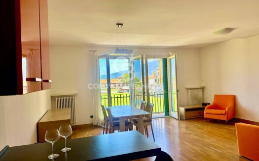 Appartamento in Vendita a Pietrasanta Centro Storico