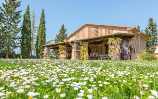 Villa in Vendita a Peccioli Cedri