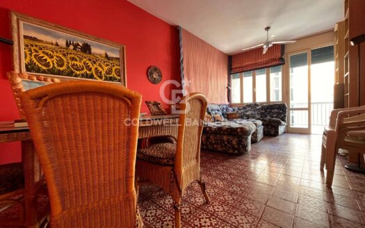 Appartamento in Vendita a Camaiore Lido di Camaiore