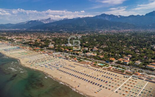 Villa in Vendita a Forte dei Marmi Centro