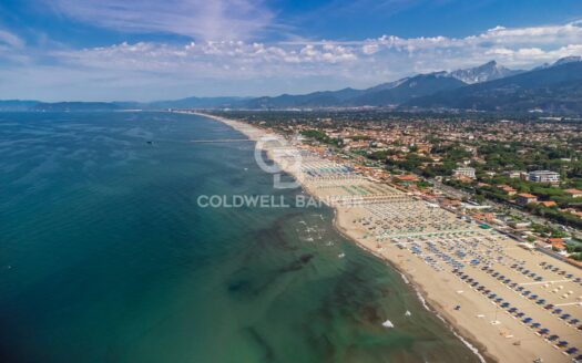Villa in Vendita a Forte dei Marmi Centro