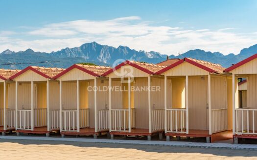 Villa bifamiliare in Vendita a Forte dei Marmi Centro
