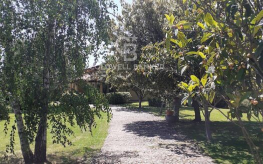 Villa in Vendita a Pietrasanta Crociale