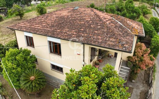 Villa in Vendita a Pietrasanta Strettoia