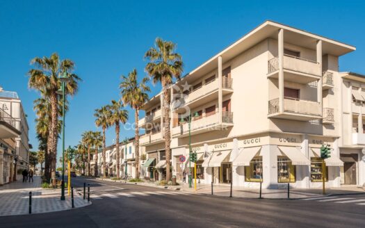 Terreno Edificabile in Vendita a Forte dei Marmi Caranna