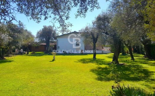 Casa indipendente in Vendita a Forte dei Marmi Vaiana