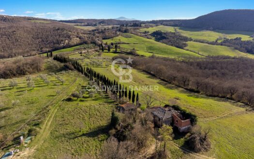 Villa in Vendita a Trequanda