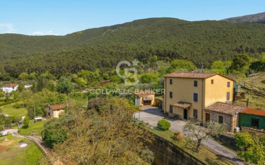 Villa in Vendita a Lucca Santa Maria del Giudice