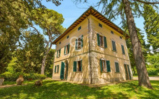 Villa in Vendita a Castelfranco di Sotto