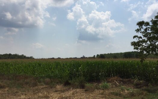Terreno agricolo in Vendita a Inveruno