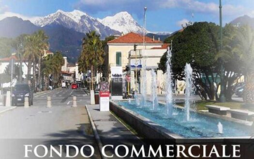 Negozio in Vendita a Forte dei Marmi Centro