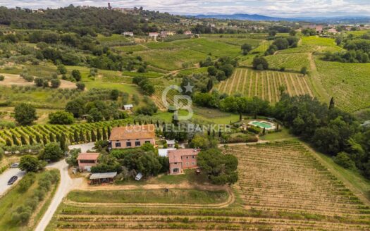 Azienda Agricola in Vendita a Montecarlo MONTECARLO