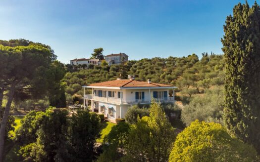 Villa in Vendita a Massarosa Massarosa