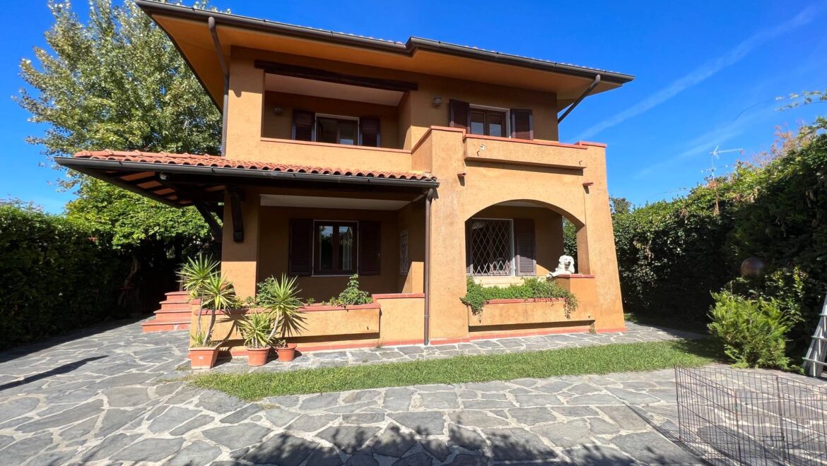 video image