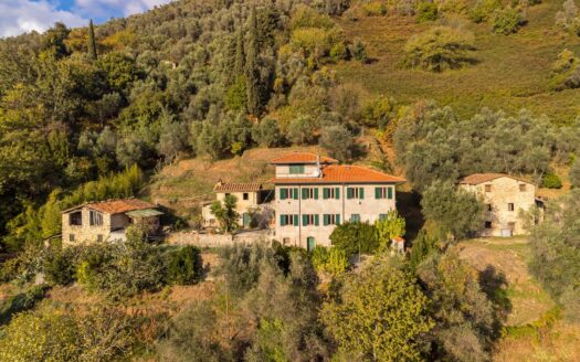 Rustico/Casale/Corte in Vendita a Camaiore