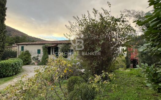 Villa in Vendita a Lucca Pozzuolo