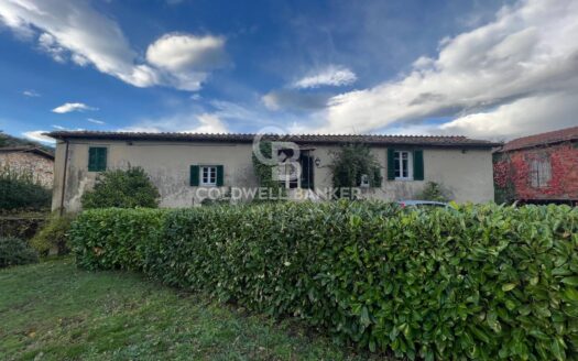 Villa in Vendita a Lucca Pozzuolo