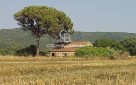 Terreno agricolo in Vendita a Pomarance