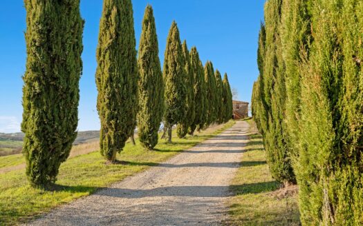 Tenuta in Vendita a Trequanda