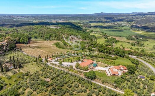 Azienda Agricola in Vendita a Montescudaio