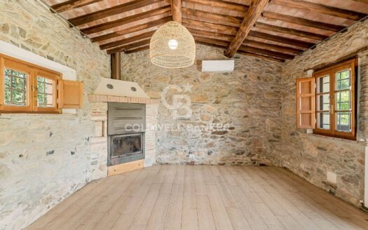 Villa in Vendita a Lucca Santa Maria del Giudice