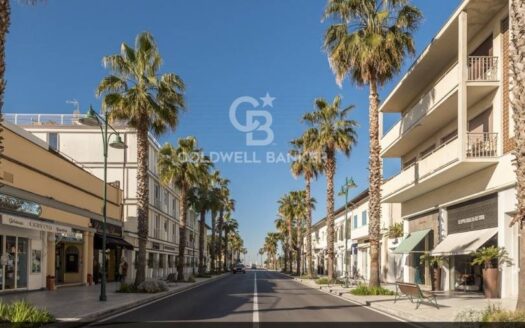 Locale commerciale in Vendita a Forte dei Marmi Centro