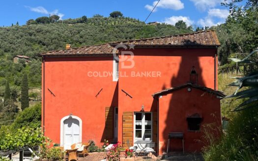 Rustico/Casale/Corte in Vendita a Massarosa Stiava