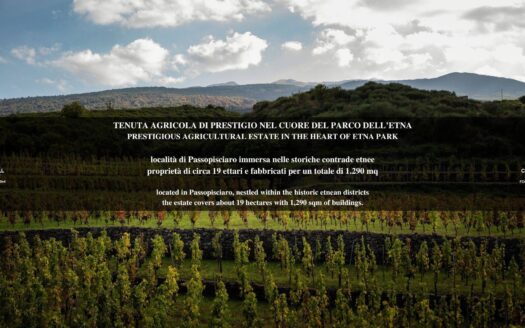 Azienda Agricola in Vendita a Castiglione di Sicilia