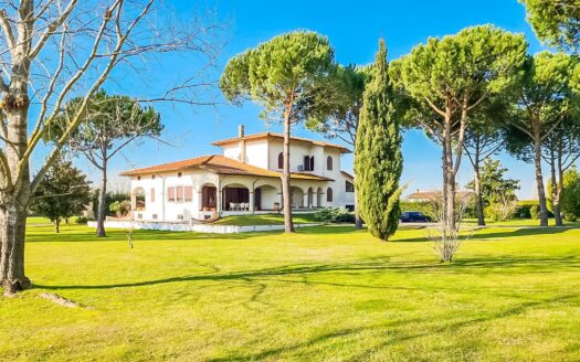Villa in Vendita a Pietrasanta Traversagna