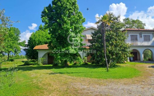 Villa in Vendita a Pietrasanta