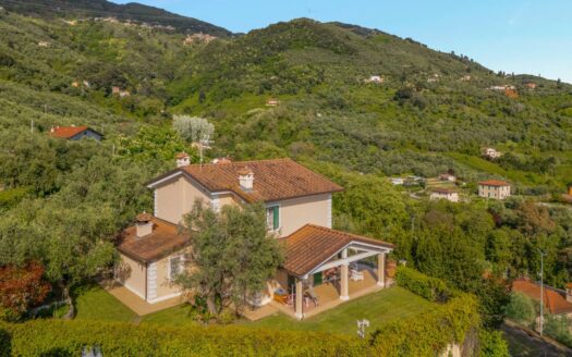 Villa in Vendita a Pietrasanta Centro Storico