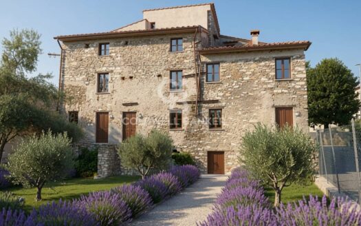 Rustico/Casale/Corte in Vendita a Seravezza Querceta