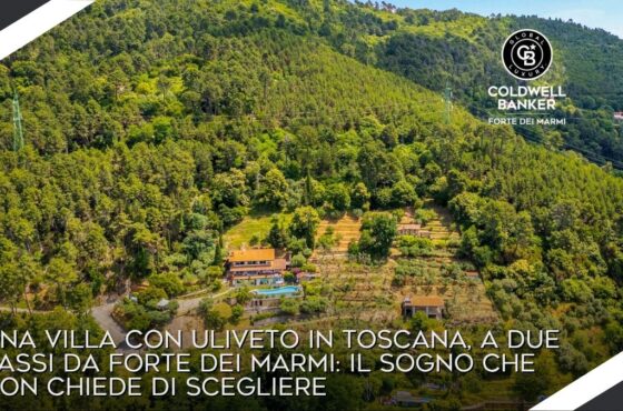 Una villa con uliveto in Toscana, a due passi da Forte dei Marmi: il sogno che non chiede di scegliere